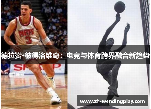德拉赞·彼得洛维奇：电竞与体育跨界融合新趋势